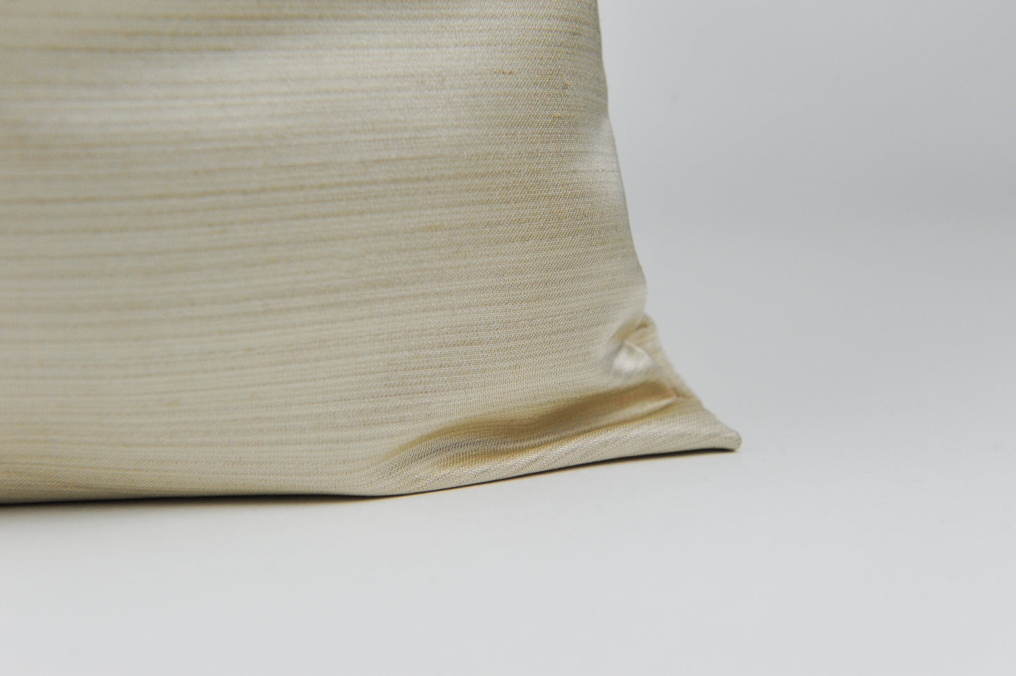 Champagne Light (Shoe Bag)