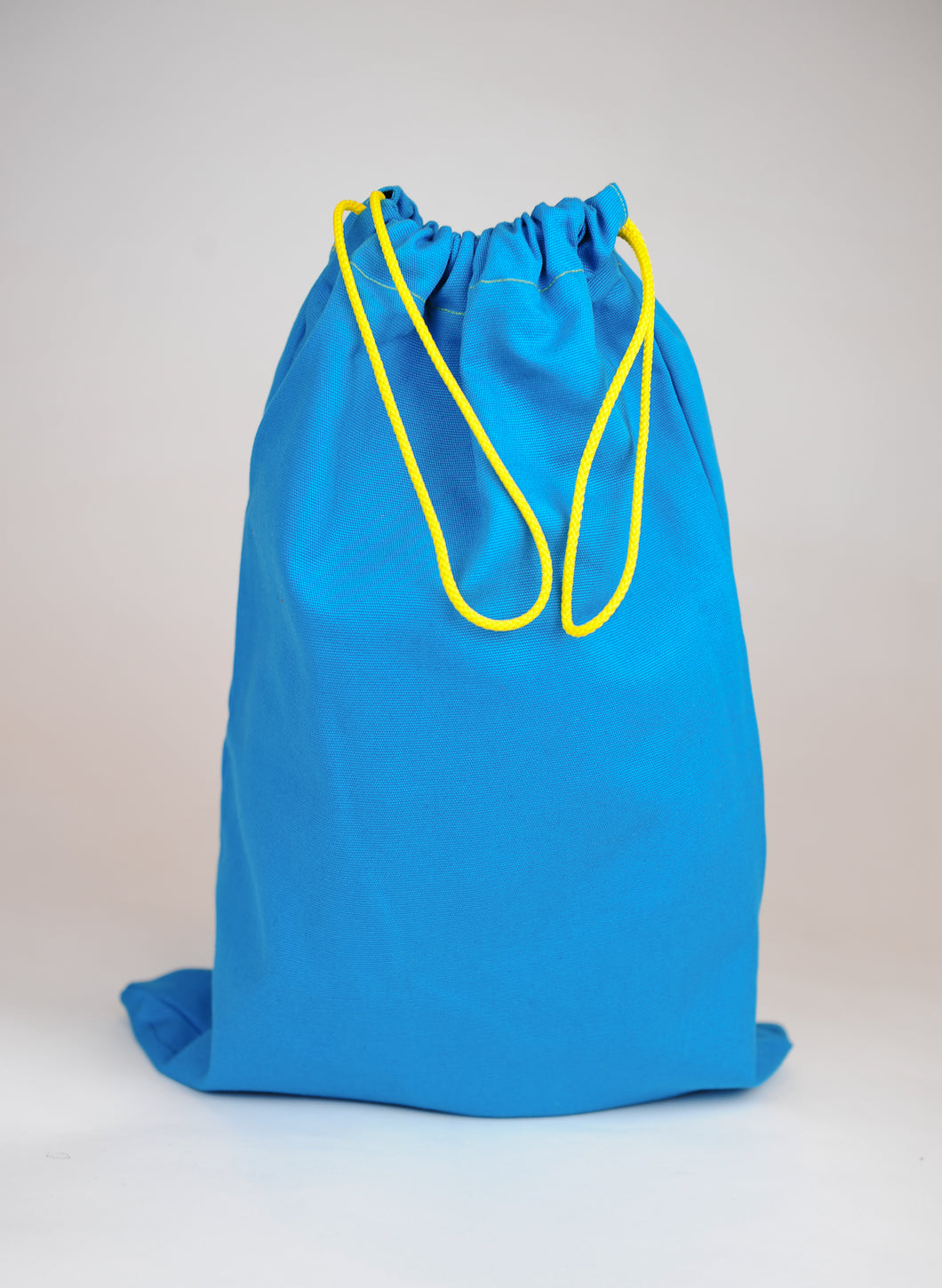 Happy Blue (Shoe Bag)